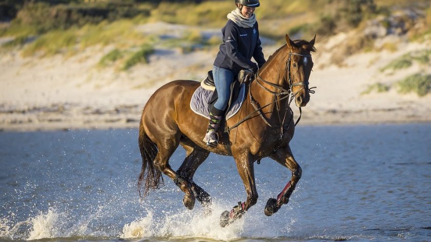 La pratique de l'équitation et les sensations de monter à cheval